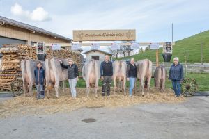 80 GLORIA CH 120.1240.5012.4 Nauer-Horath Dominik  12